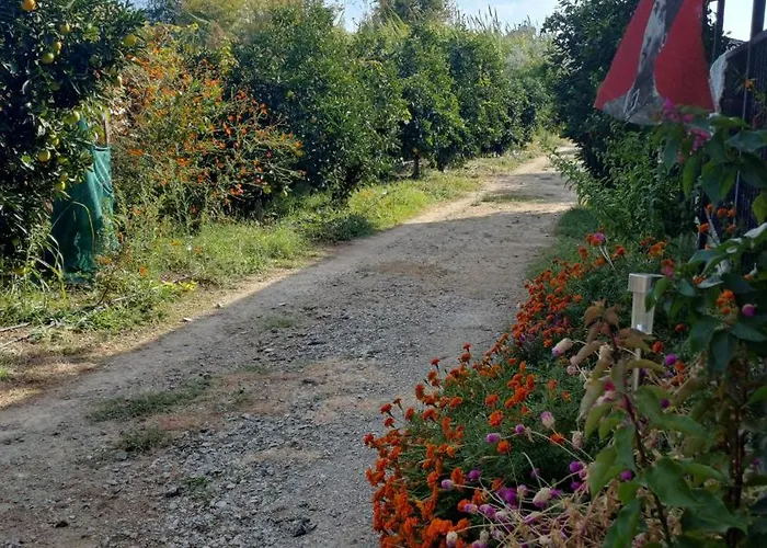 빌라 Ayla 페티예